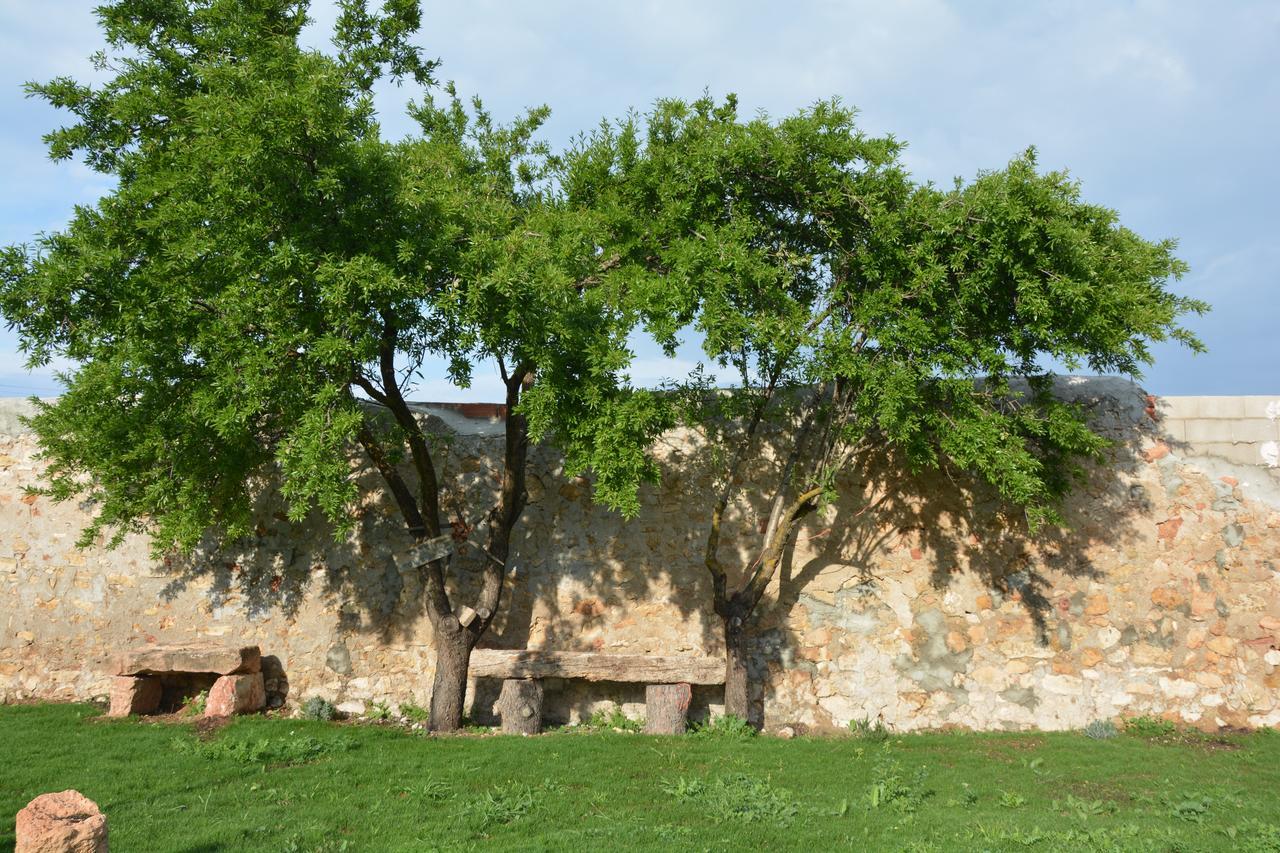 Casa Rural Aromas De La Manchuela Alborea エクステリア 写真