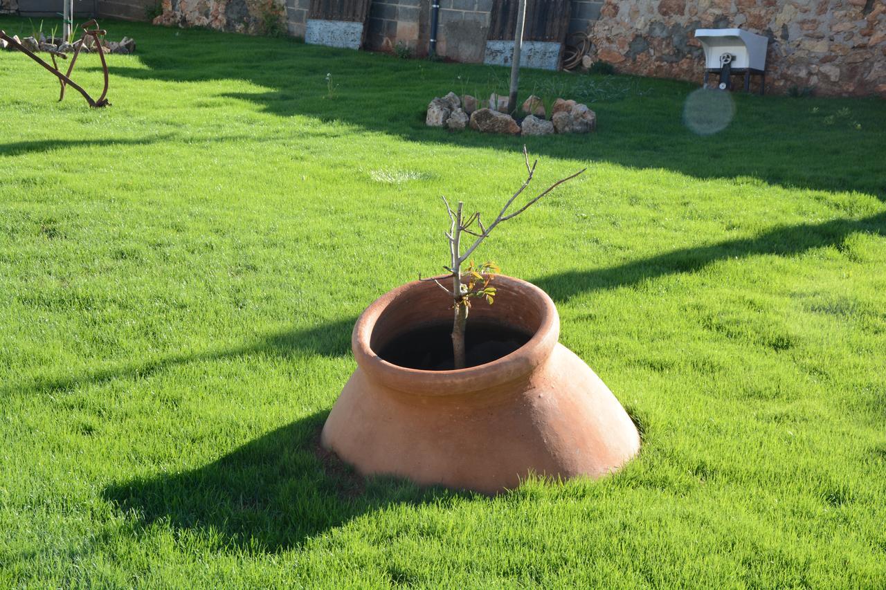 Casa Rural Aromas De La Manchuela Alborea エクステリア 写真